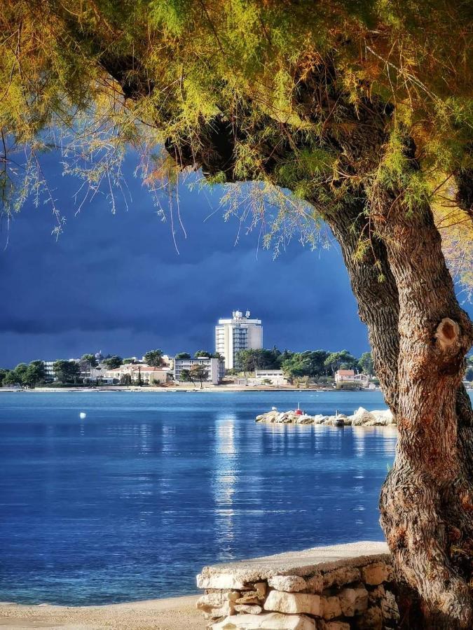 Apartmani Ivisic Vodice Eksteriør billede