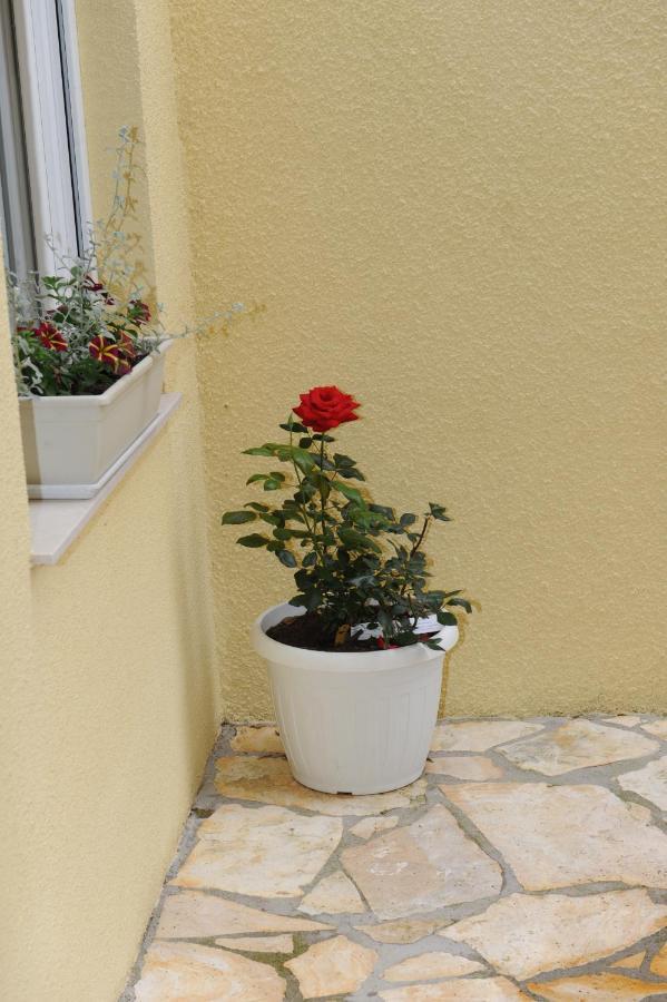 Apartmani Ivisic Vodice Eksteriør billede